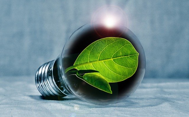 light bulb-leaf