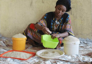 px-AFRICAN-RICE-TRADER copy